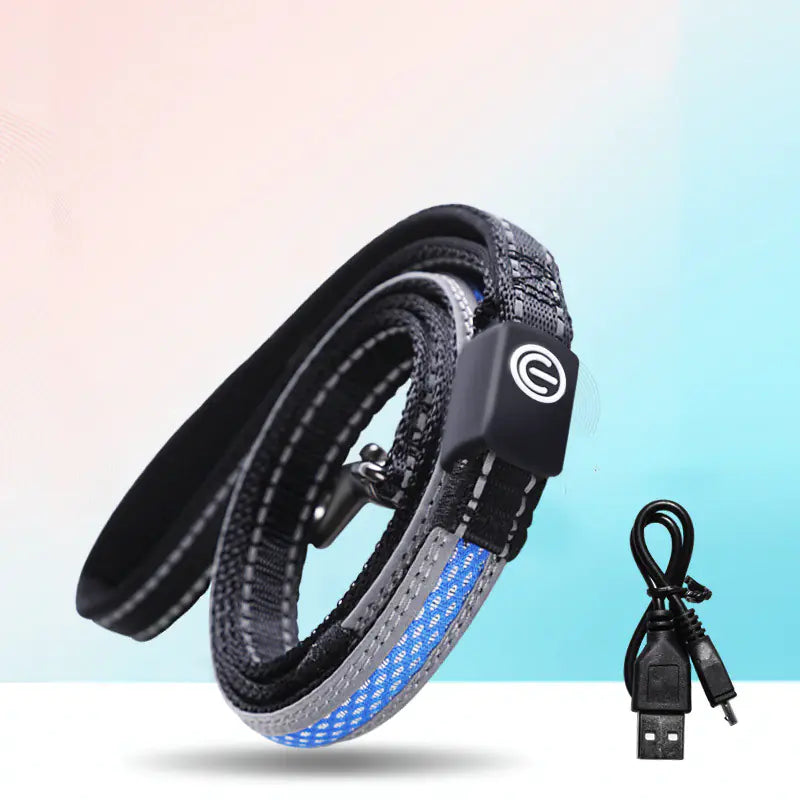 Glow LED Dog Collar – USB Rechargeable | Waterproof & Safe at Night