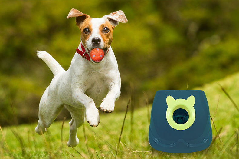 Happy Balls - Premium Dog Ball Launcher (Set)
