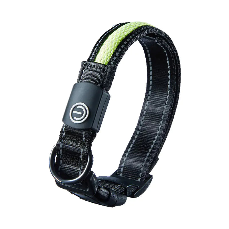 Glow LED Dog Collar – USB Rechargeable | Waterproof & Safe at Night