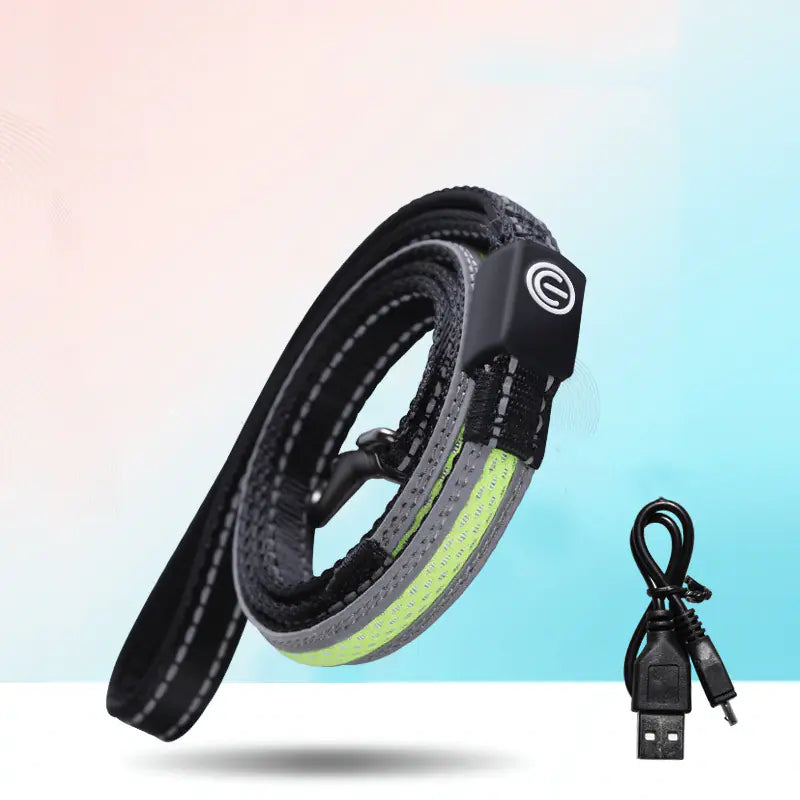 Glow LED Dog Collar – USB Rechargeable | Waterproof & Safe at Night
