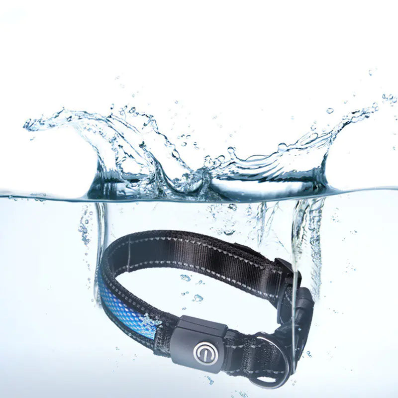 Glow LED Dog Collar – USB Rechargeable | Waterproof & Safe at Night