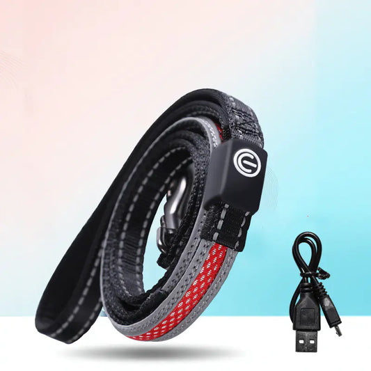 Glow LED Dog Collar – USB Rechargeable | Waterproof & Safe at Night